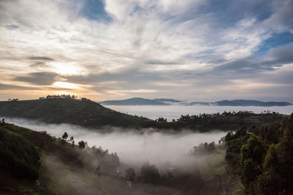 Tåke over Bwindi Impenetrable National Park Uganda med fjell i bakgrunnen