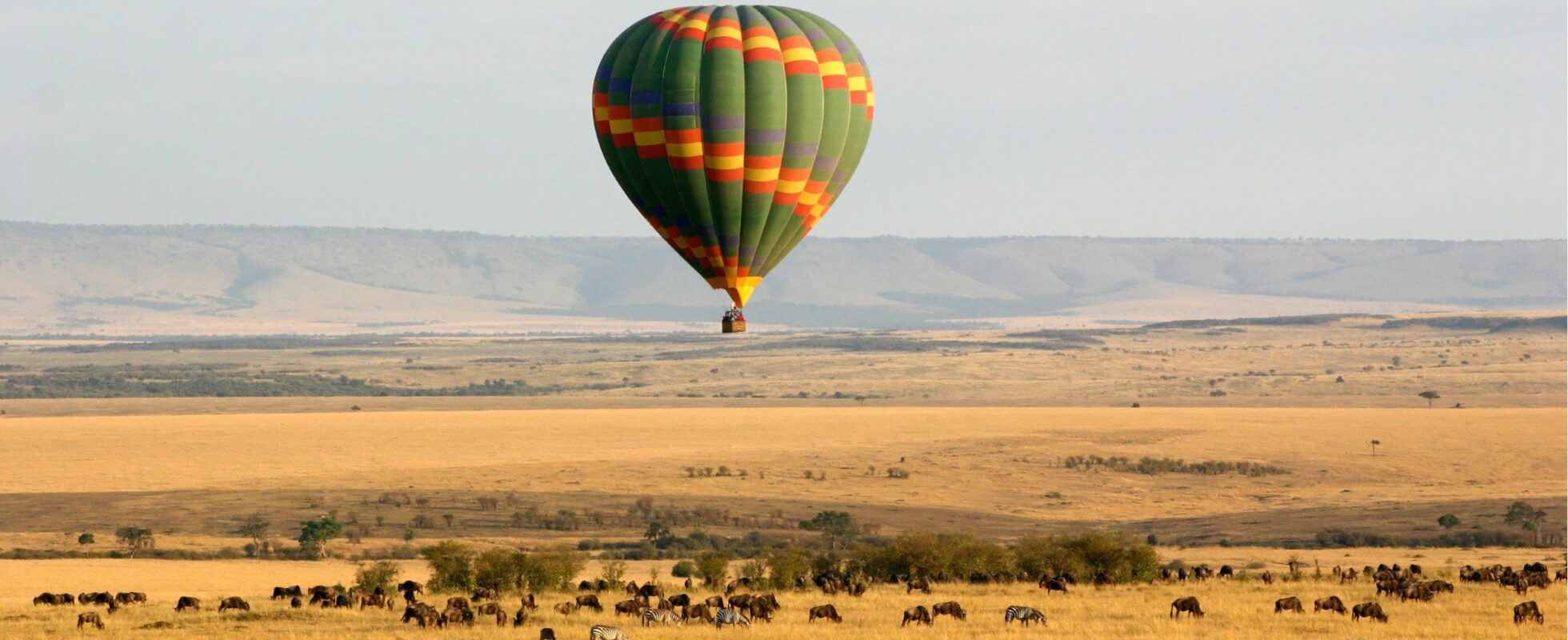 Luftballong over Masai Mara Kenya med sebraer og ville dyr på savannen