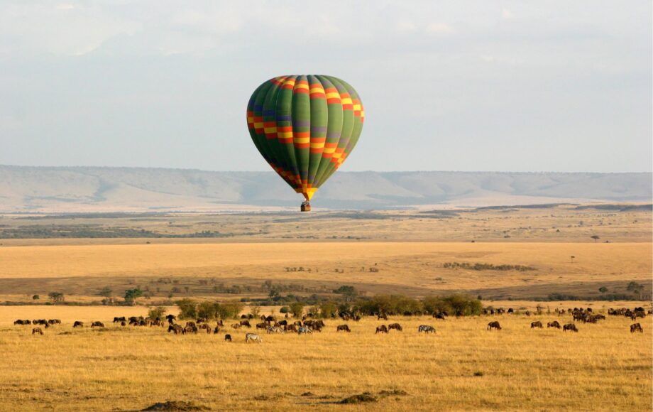 Luftballong over Masai Mara Kenya med sebraer og ville dyr på savannen