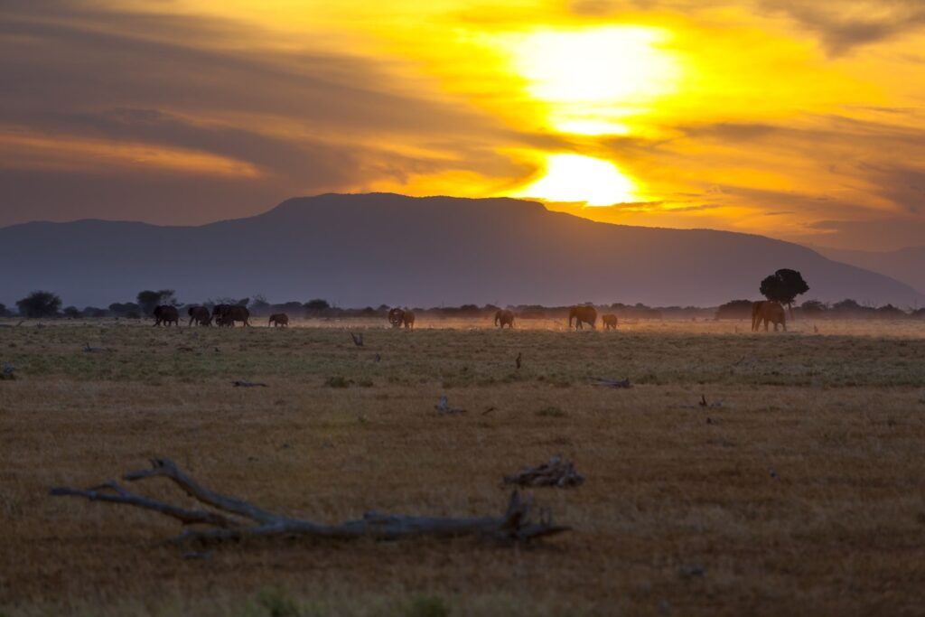 Fjellandskap i Tsavo Øst nasjonalpark