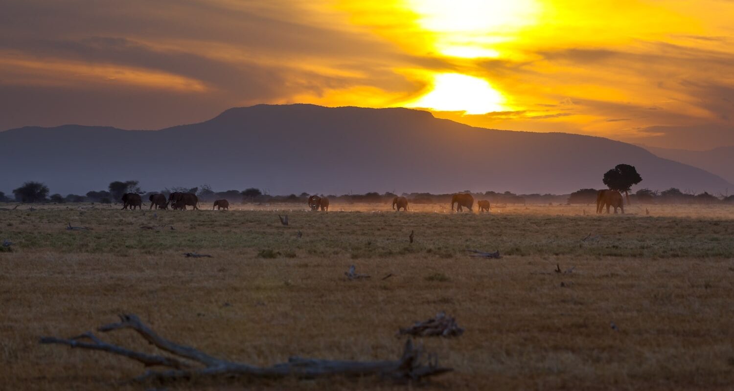 Fjellandskap i Tsavo Øst nasjonalpark