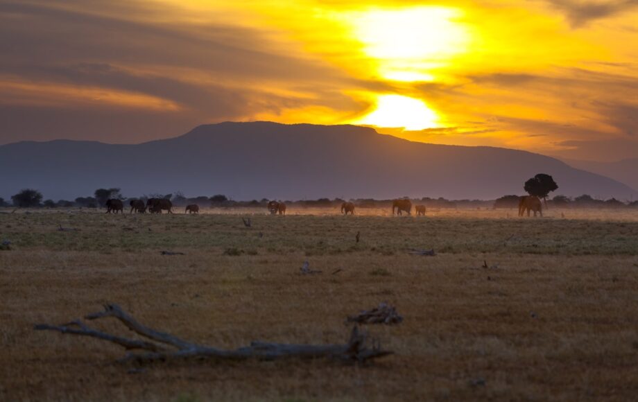 Fjellandskap i Tsavo Øst nasjonalpark