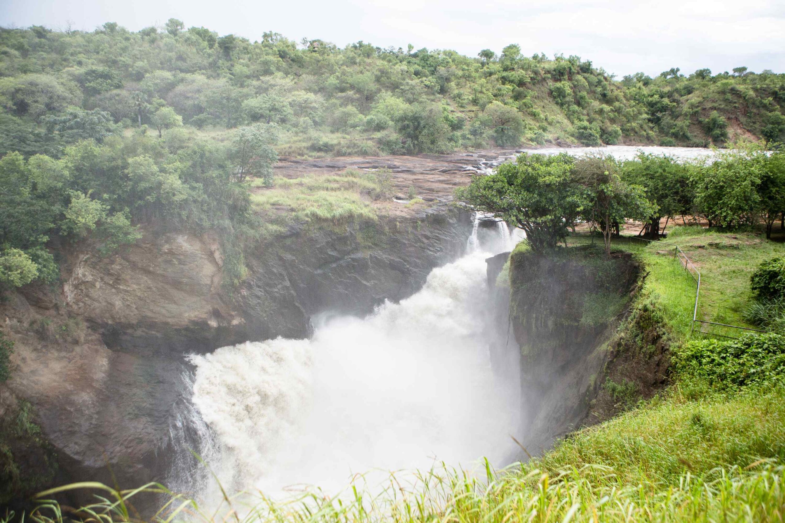 Tur til toppen av Murchison Falls – Murchison Falls National Park