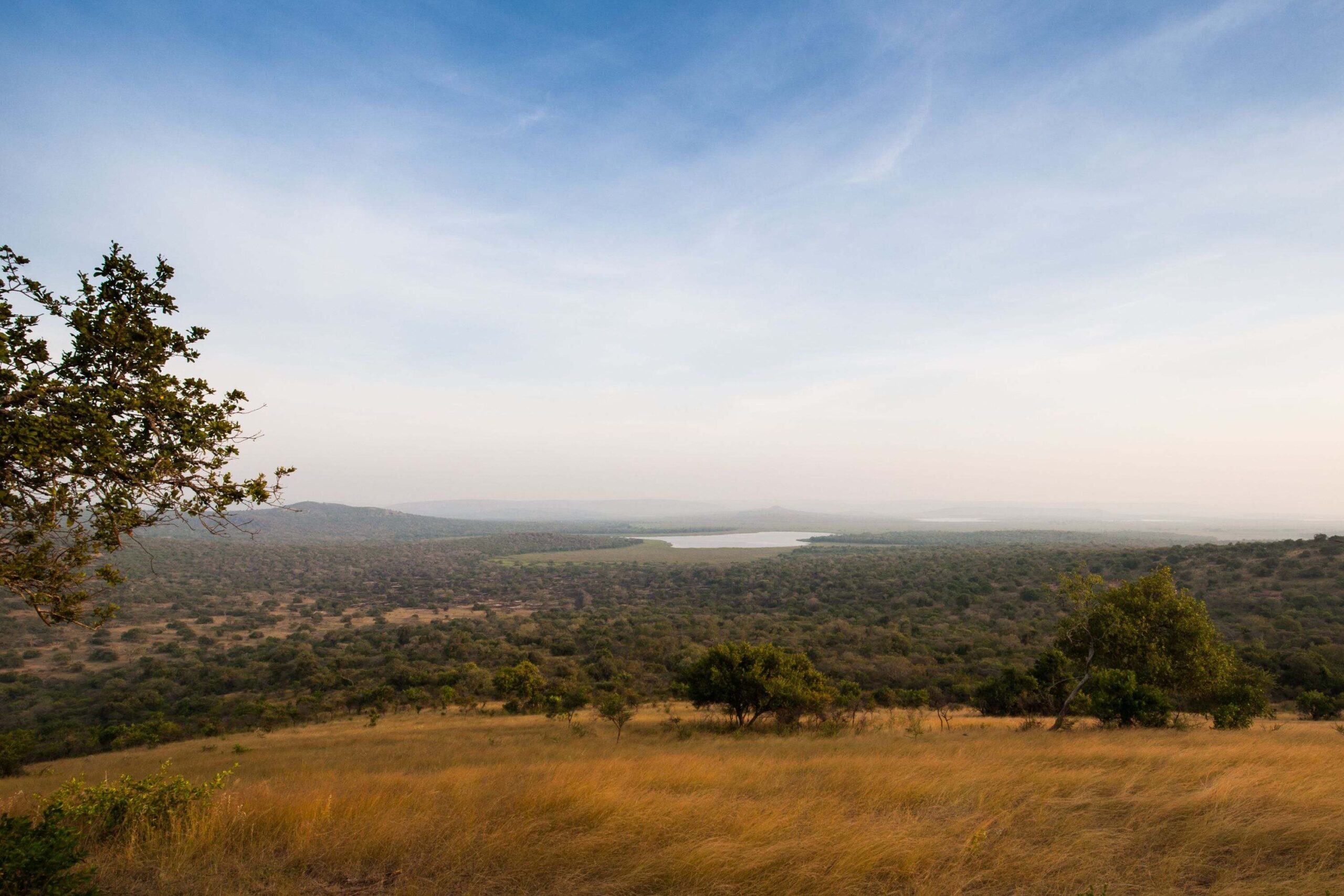 Biltur fra Queen Elizabeth National Park til Lake Mburo National Park