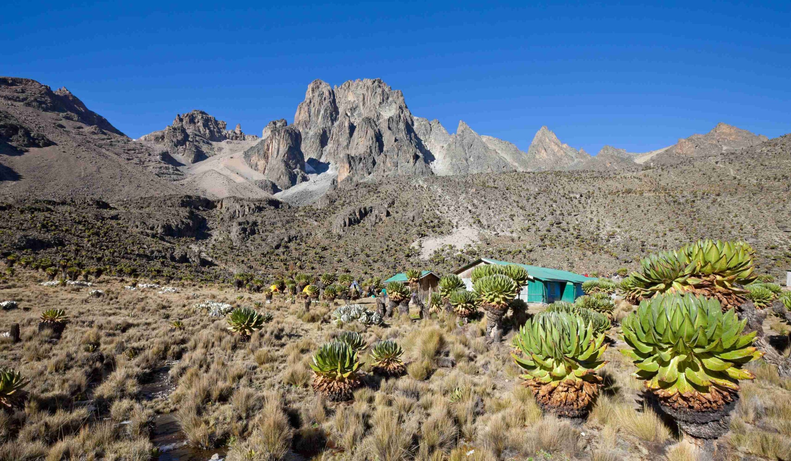 Mount Kenya via Sirimon Route (3/5) | Akklimatiseringsdag ved Shiptons Camp (4200 meter)