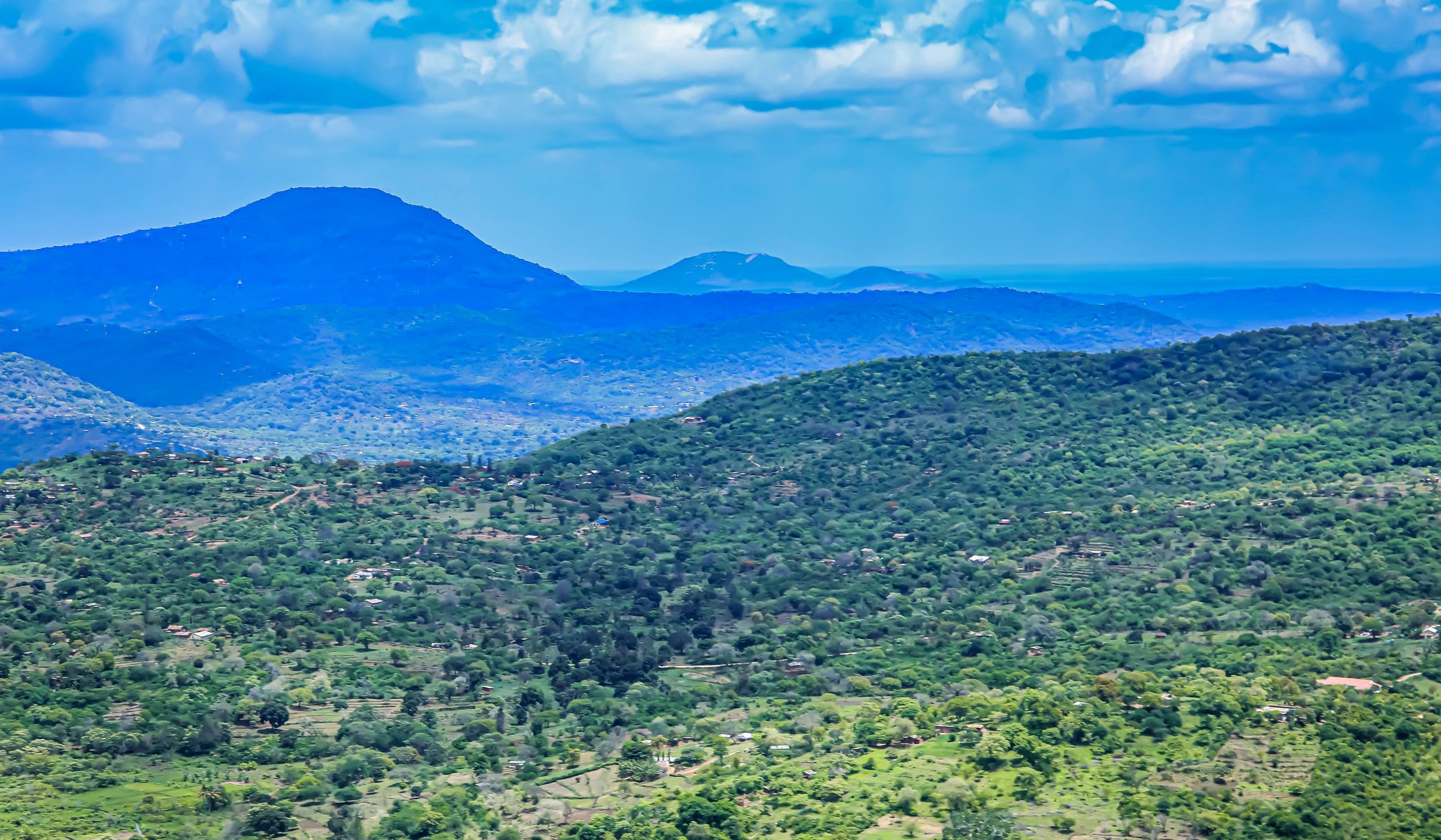 Taita Hills viltreservat og LUMO Conservancy