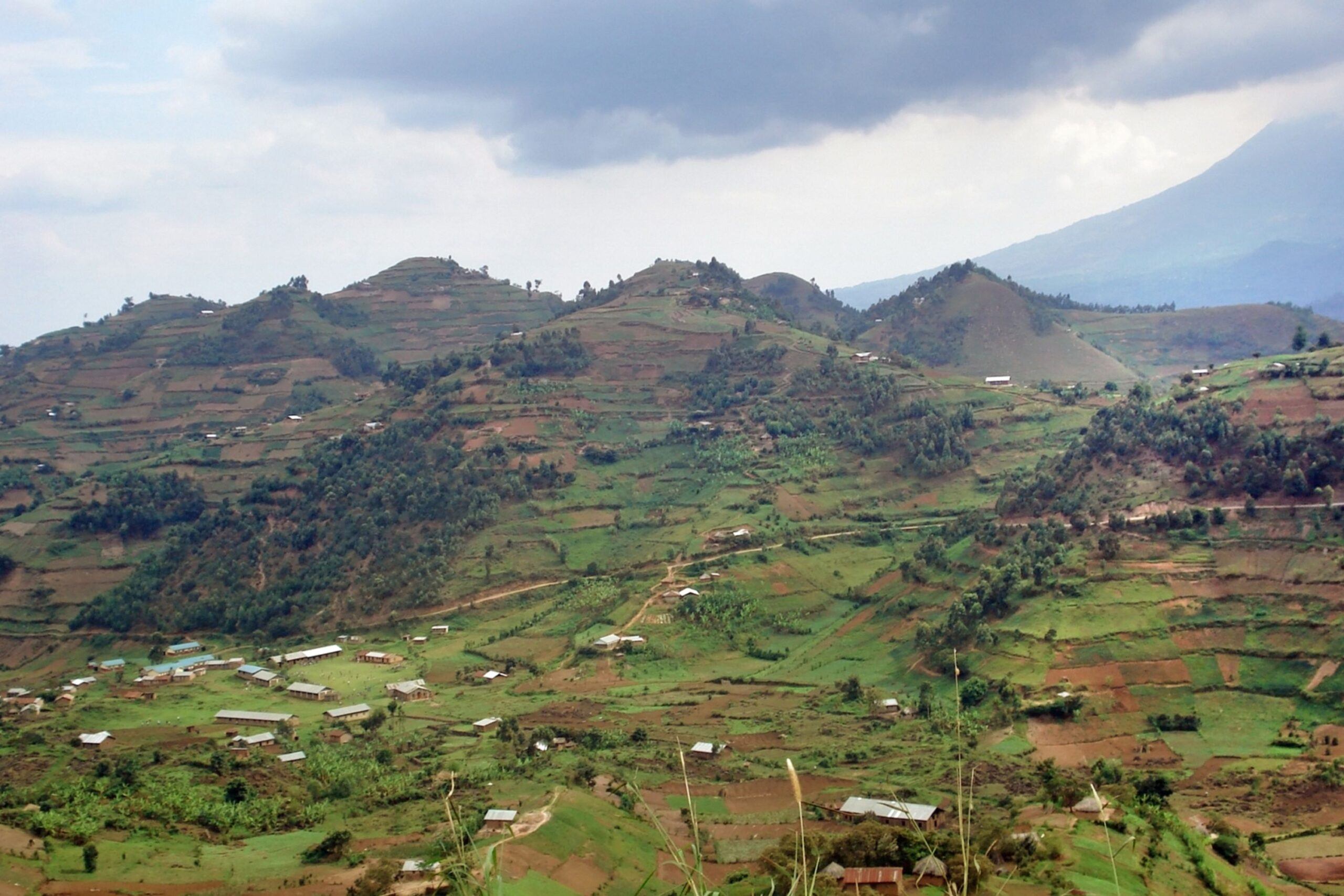 Biltur fra Queen Elizabeth National Park til Mgahinga Gorilla National Park