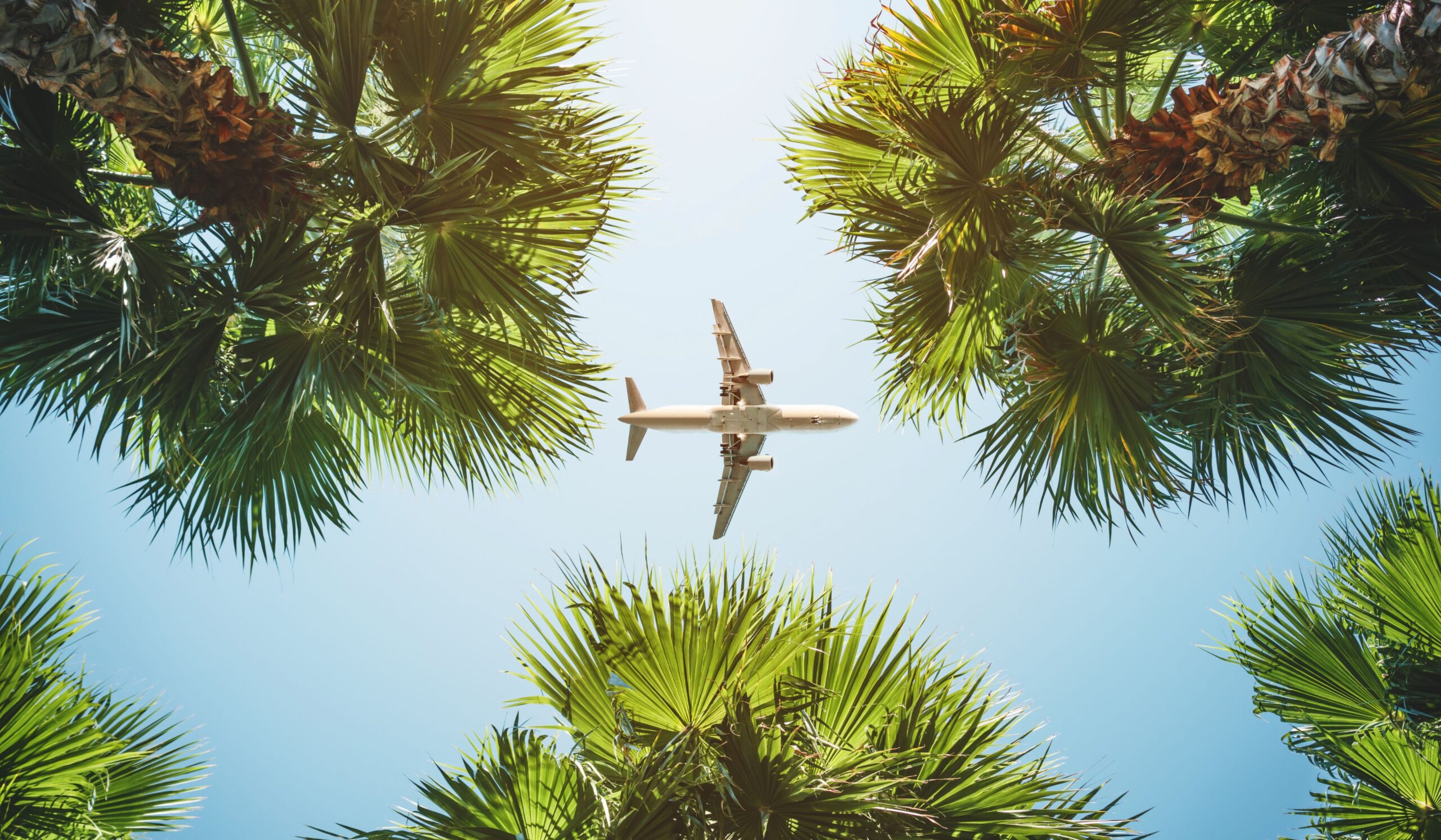 Fly til Diani Beach (inkludert i prisen)