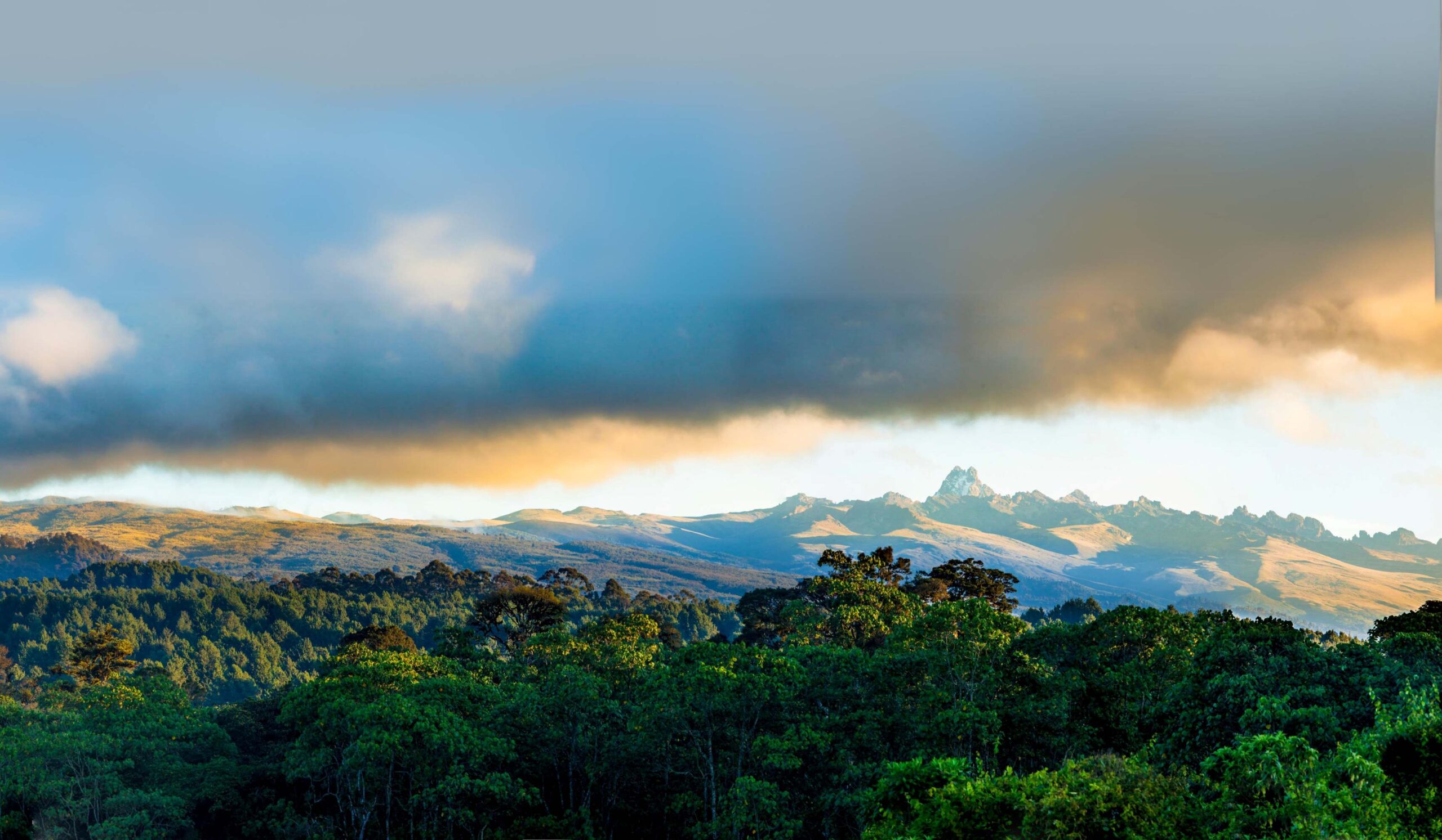Mount Kenya via Sirimon Route (5/5) | Old Moses Camp (3340 meter) – Sirimon Gate (2640 meter) – Nanyuki