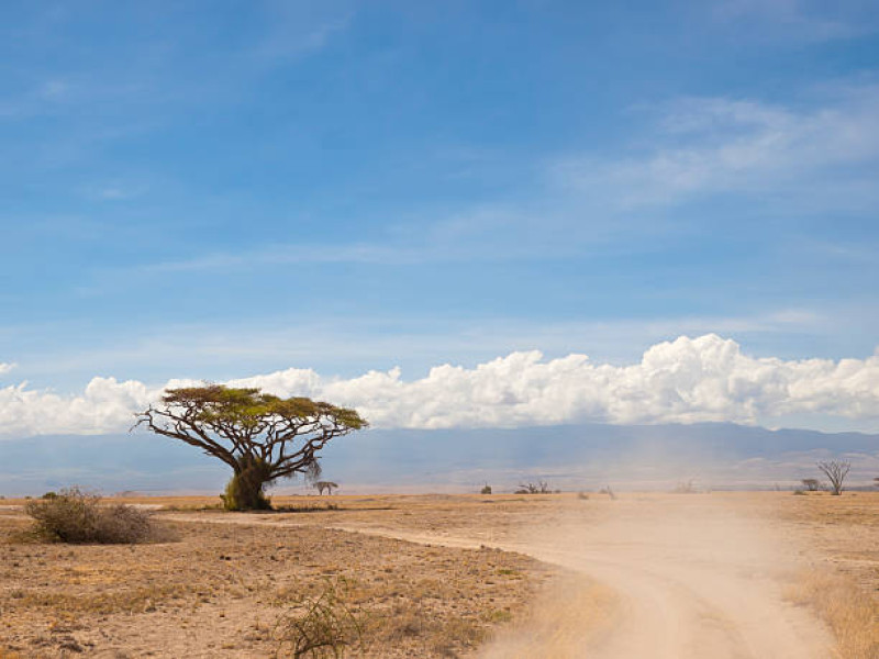 Kjør til Masai Mara National Reserve og videre til overnattingsstedet utenfor parken