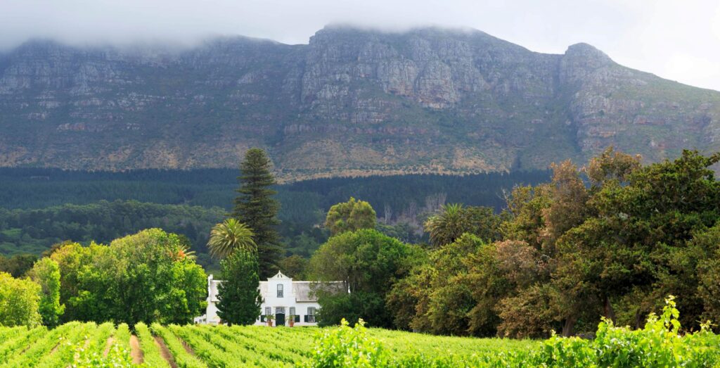 Grønt landskap i forgrunnen, fjell med skyer i bakgrunnen