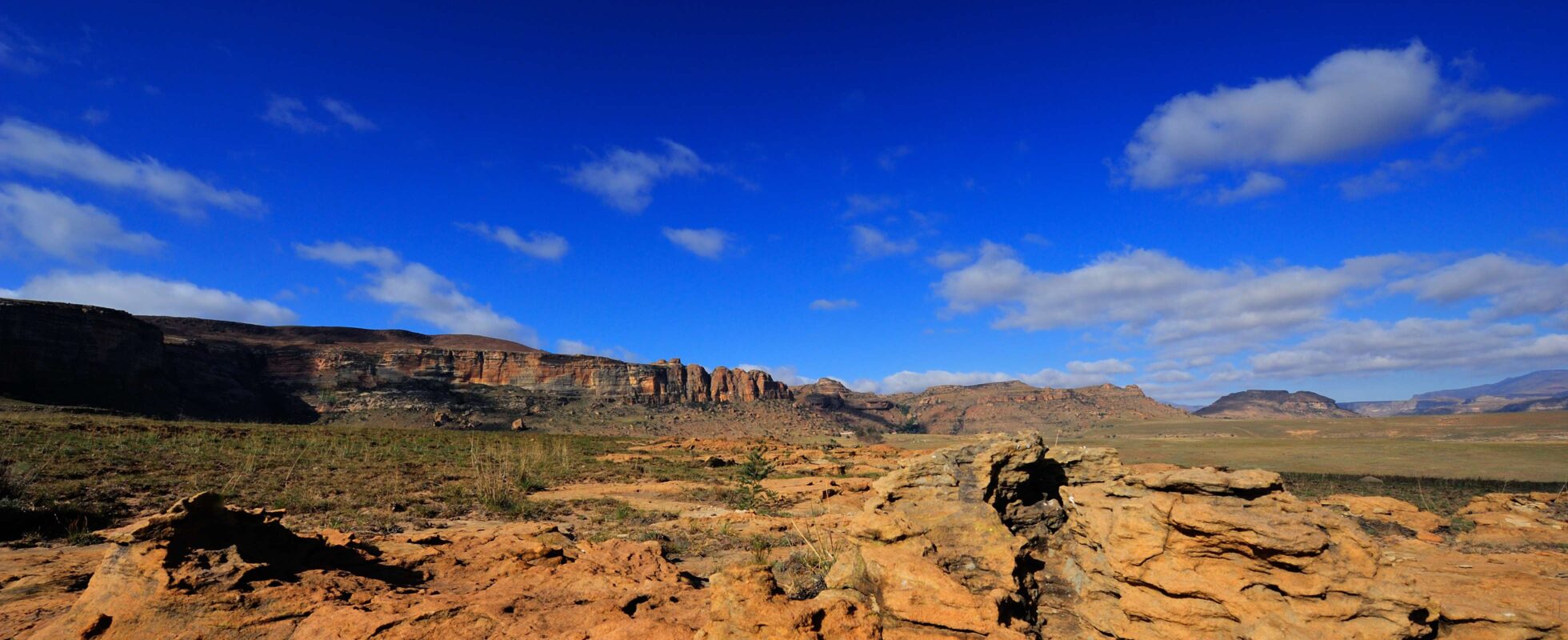 Gyllen landskap i Golden Gate Highlands nasjonalpark