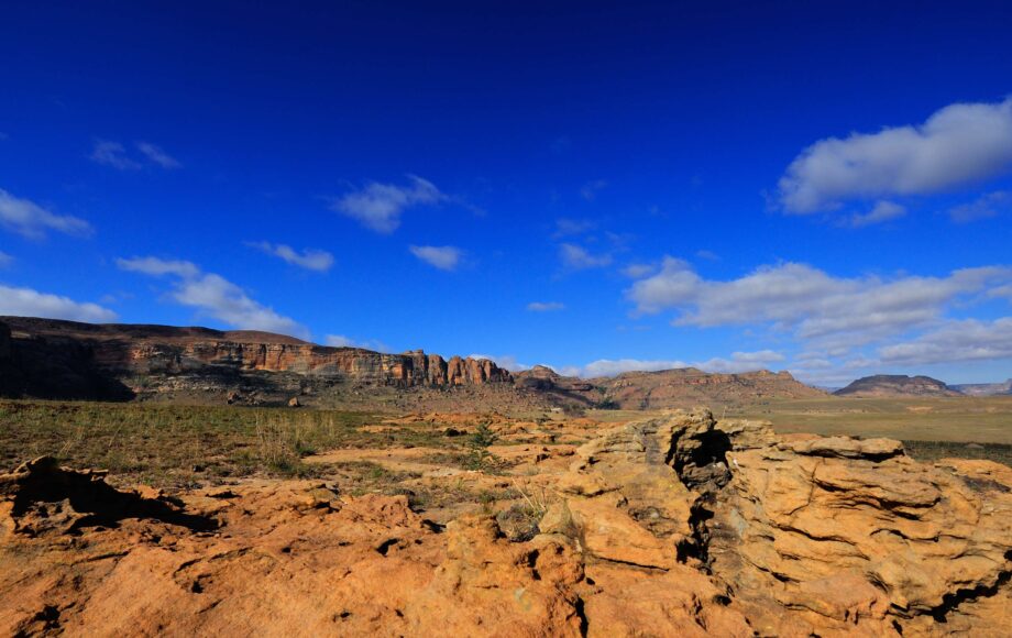 Gyllen landskap i Golden Gate Highlands nasjonalpark