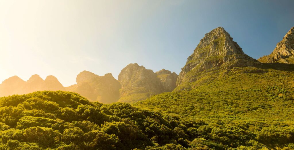 Grønt landskap med fjell i bakgrunnen i Table Mountain Sør-Afrika