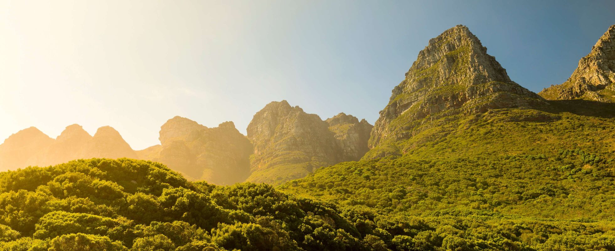 Grønt landskap med fjell i bakgrunnen i Table Mountain Sør-Afrika