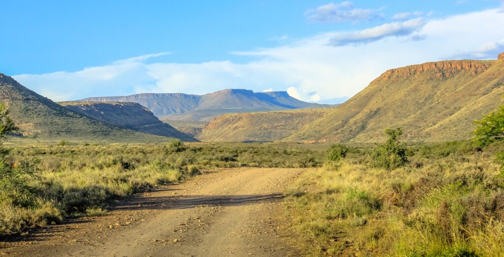 Vei gjennom grønt landskap i Karoo nasjonalpark