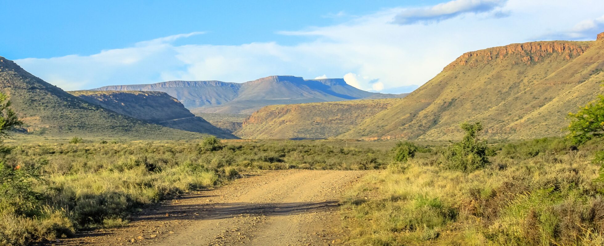 Vei gjennom grønt landskap i Karoo nasjonalpark