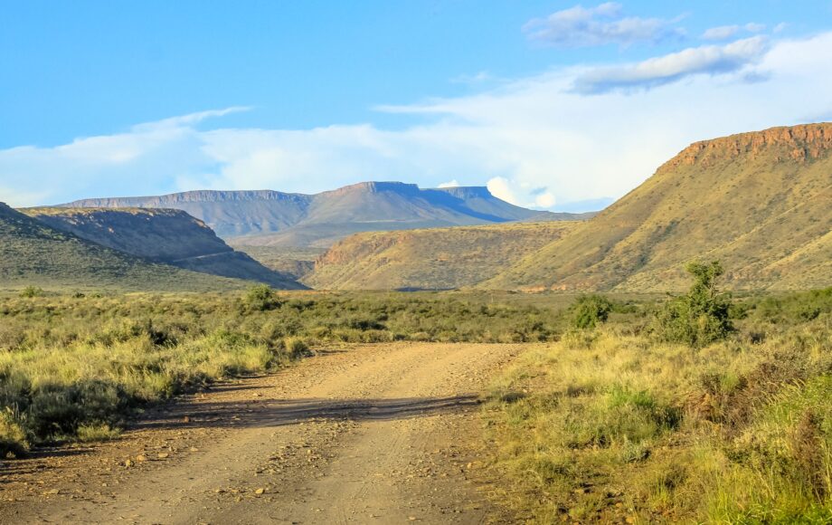 Vei gjennom grønt landskap i Karoo nasjonalpark