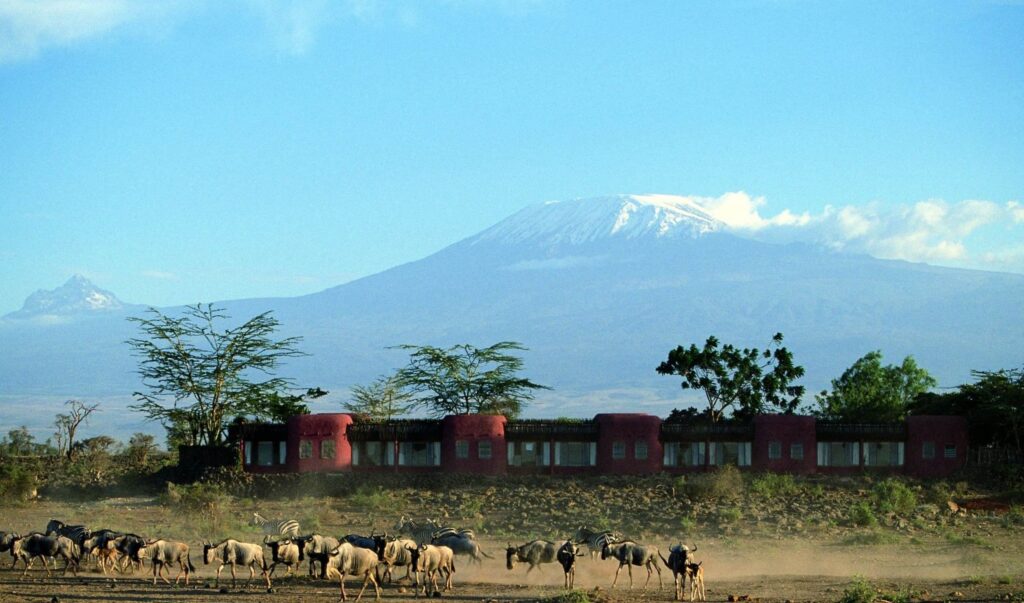 Safari i Kenya, dyr på savannen med fjell i bakgrunnen