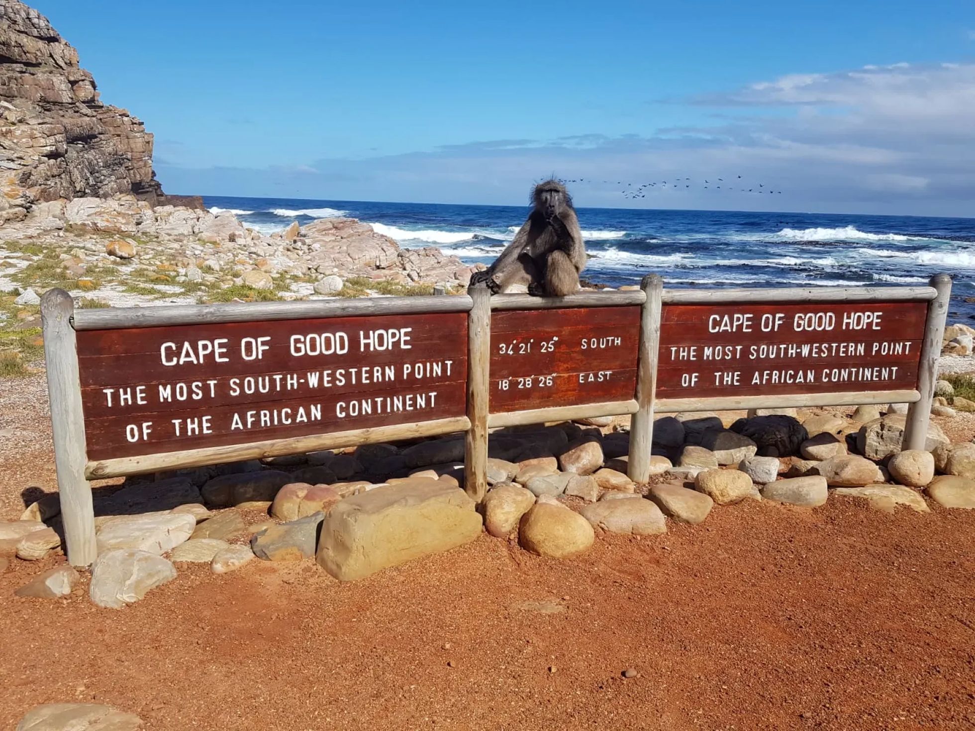 Kapp det gode håp, Cape Point og de afrikanske pingvinene