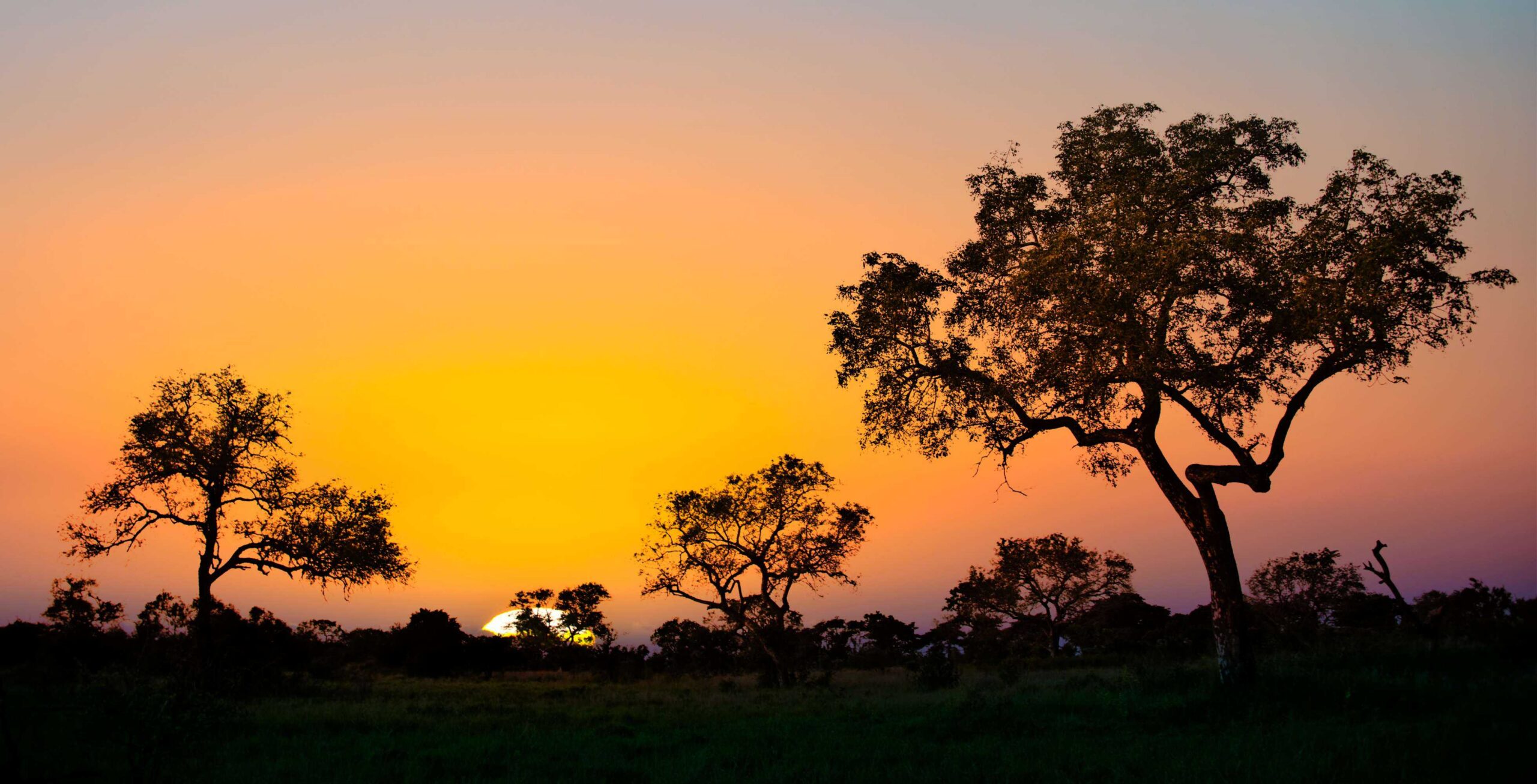 Drive from Hazyview to Kruger National Park – Paul Kruger Gate