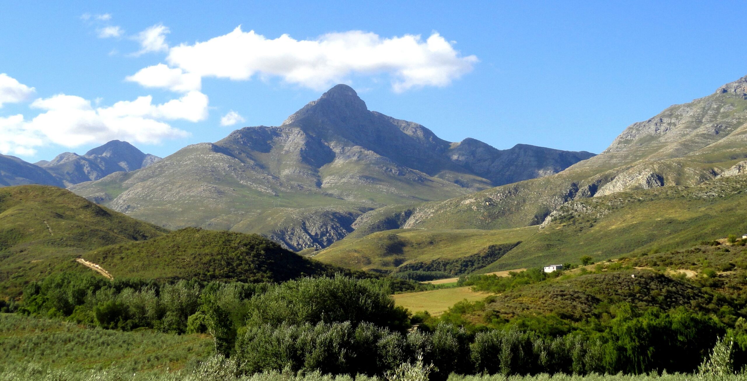Kjør fra Swellendam til Oudtshoorn