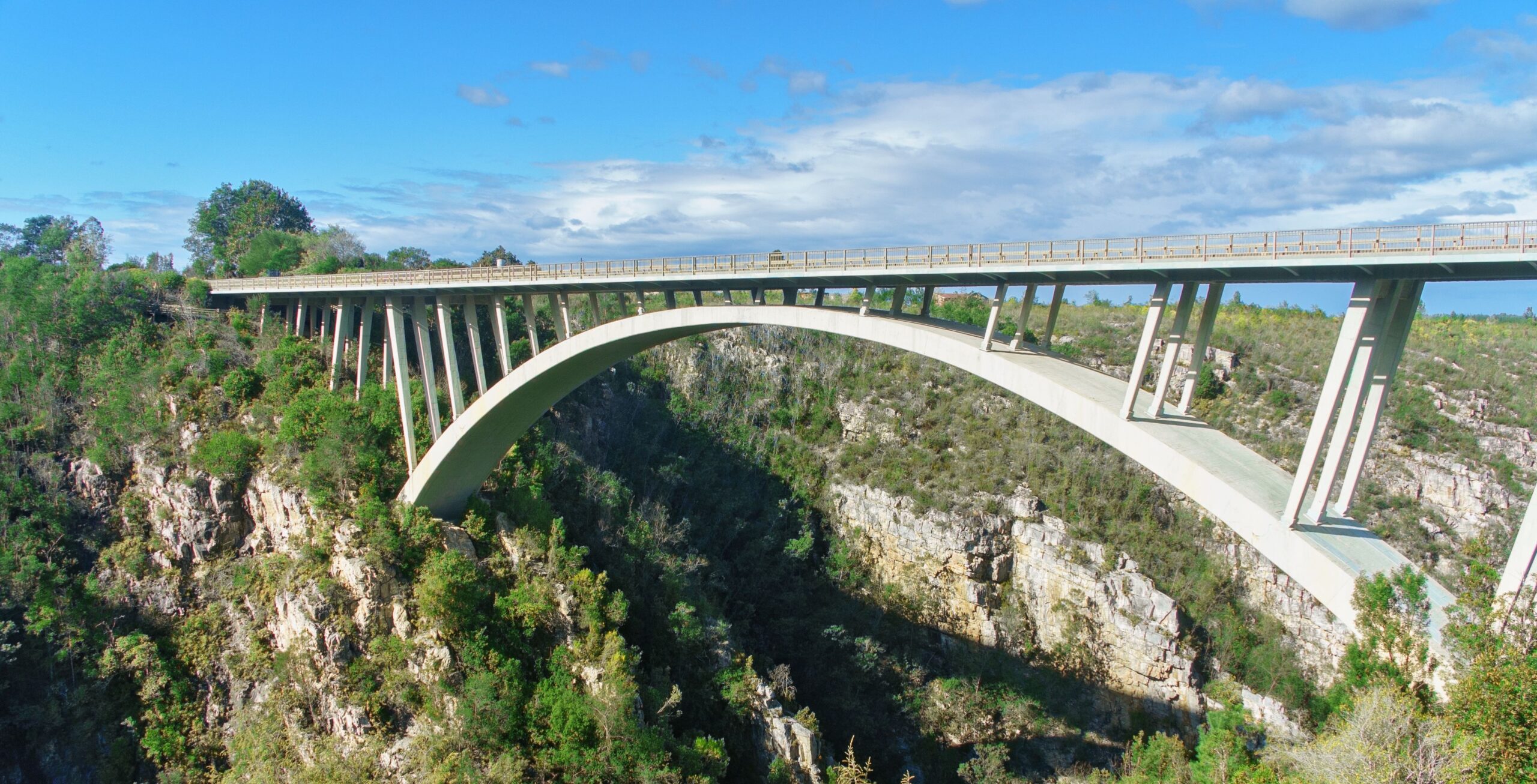 Kjør fra Plettenberg Bay til Tsitsikamma