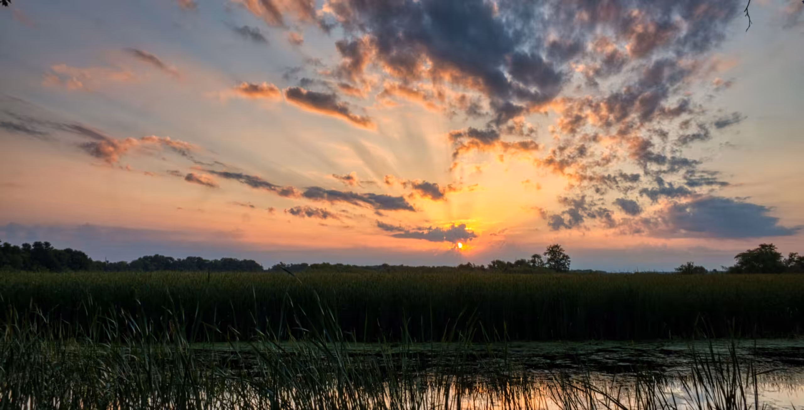 Fly fra Khwai Community Concession til Savuti Marsh