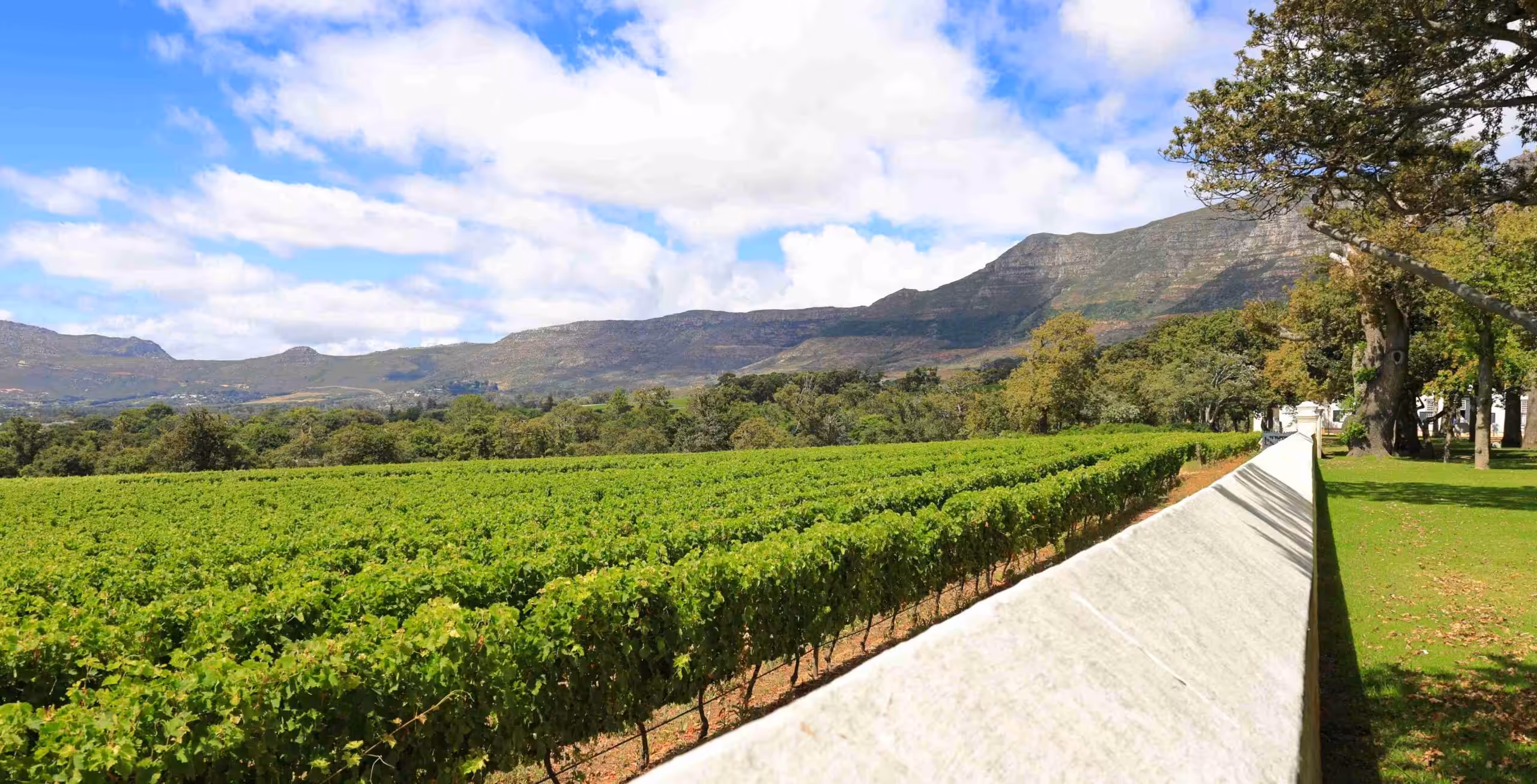 Besøk i vinkjelleren og vinsmaking på Groot Constantia (betaling på stedet)