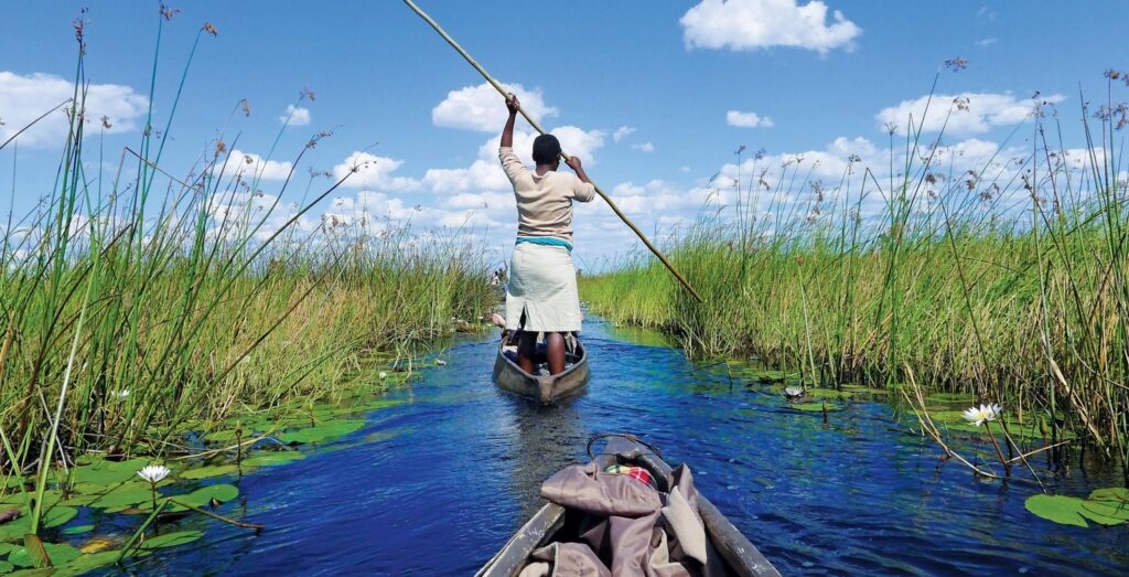 En kvinne fører en kano gjennom en elv på Okavango-deltaet ved hjelp av en stokk