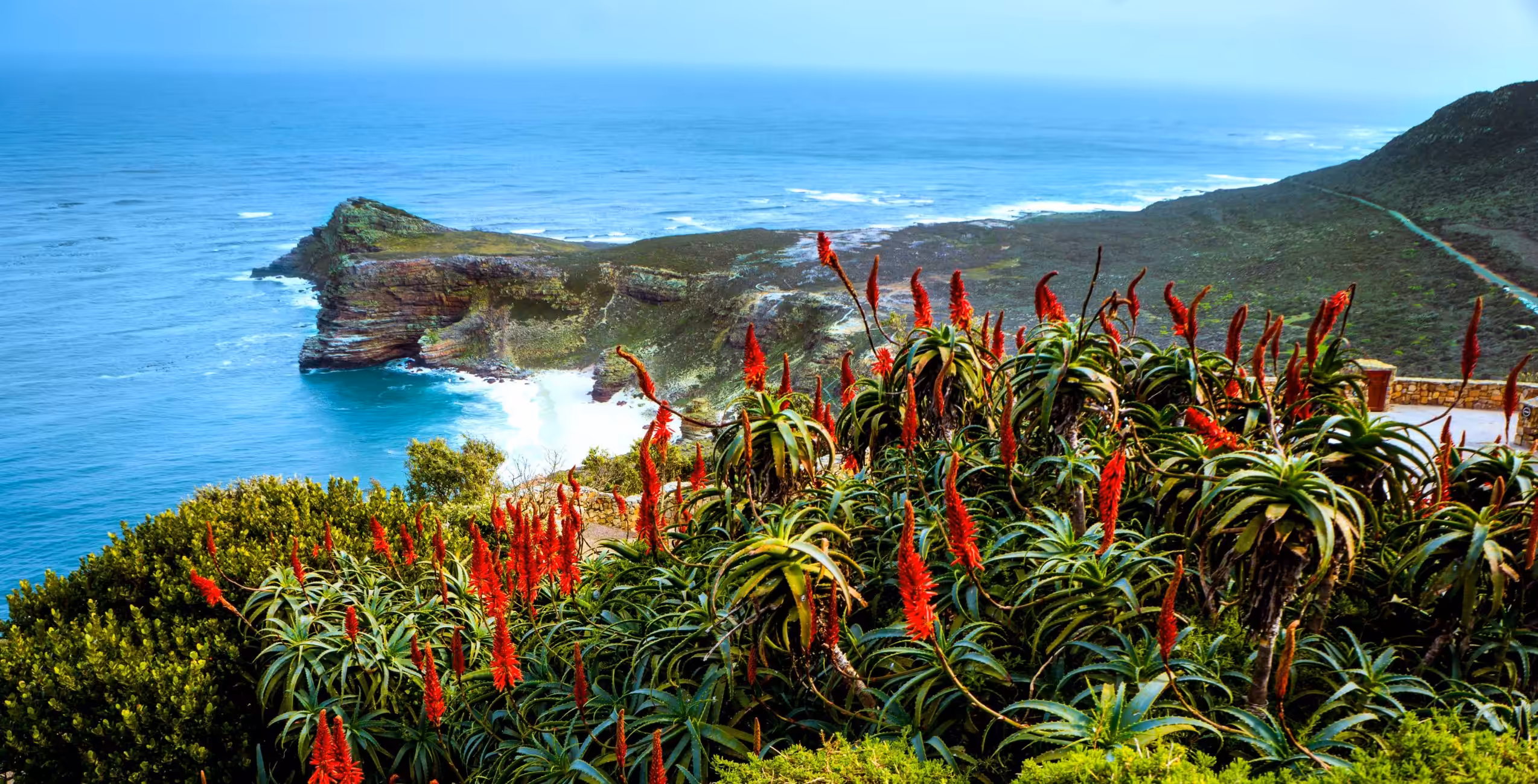 Besøk Kapp det gode håp og Cape Point-delen av Table Mountain nasjonalpark
