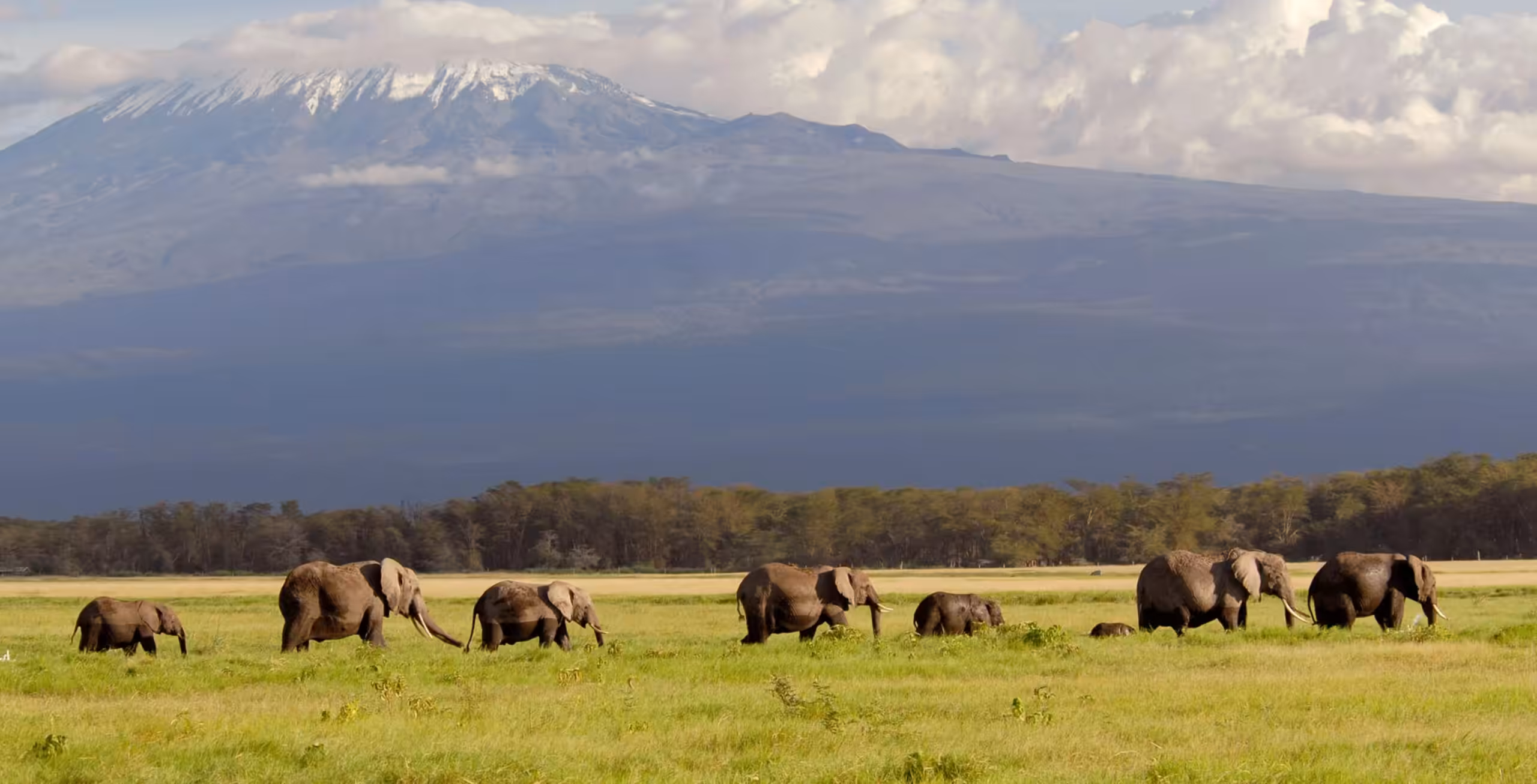 Amboseli Nasjonalpark