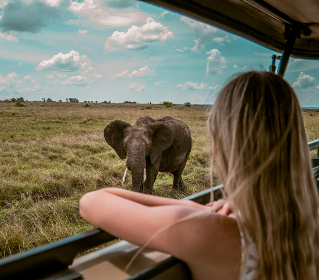 IM_KE_MAR_Client seeing elephant from jeep