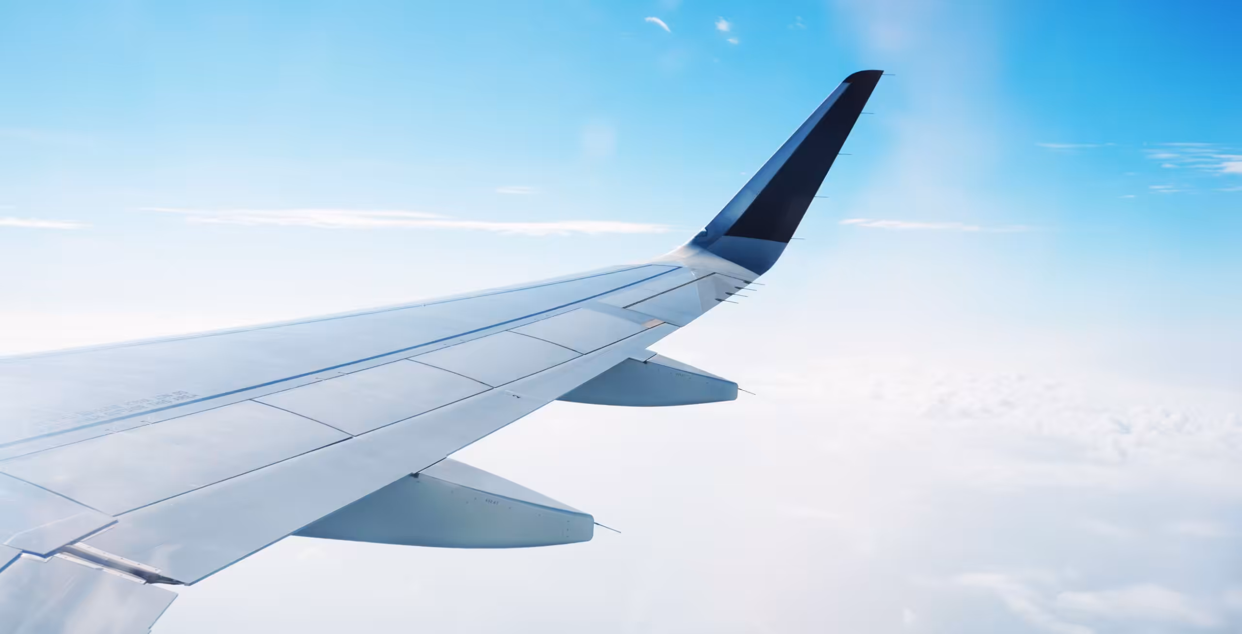 Fly hjem fra Maun internasjonale flyplass