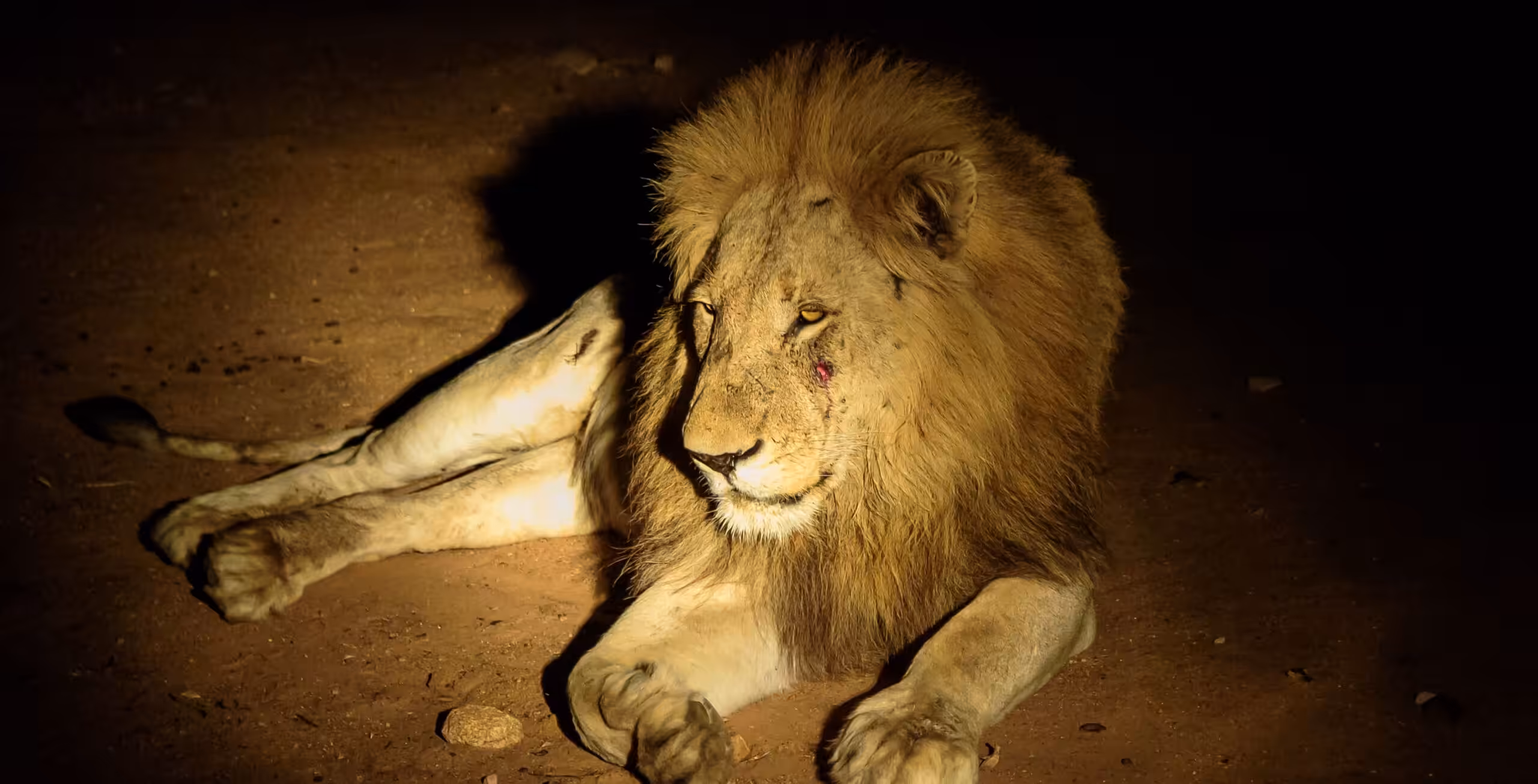 Taita Hills viltreservat og LUMO Conservancy