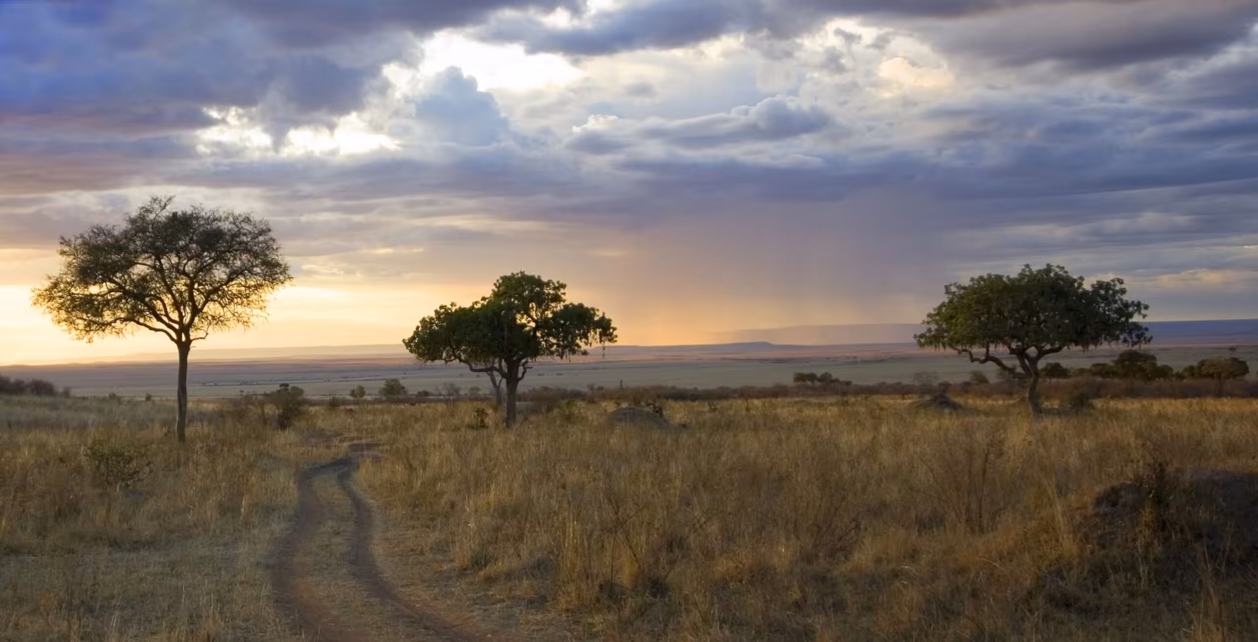 Kjør til Masai Mara National Reserve og videre til overnattingsstedet utenfor parken