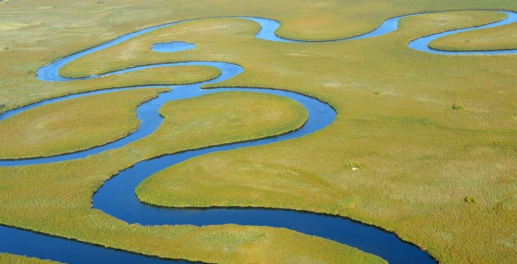 Okavangodeltaet i Botswana
