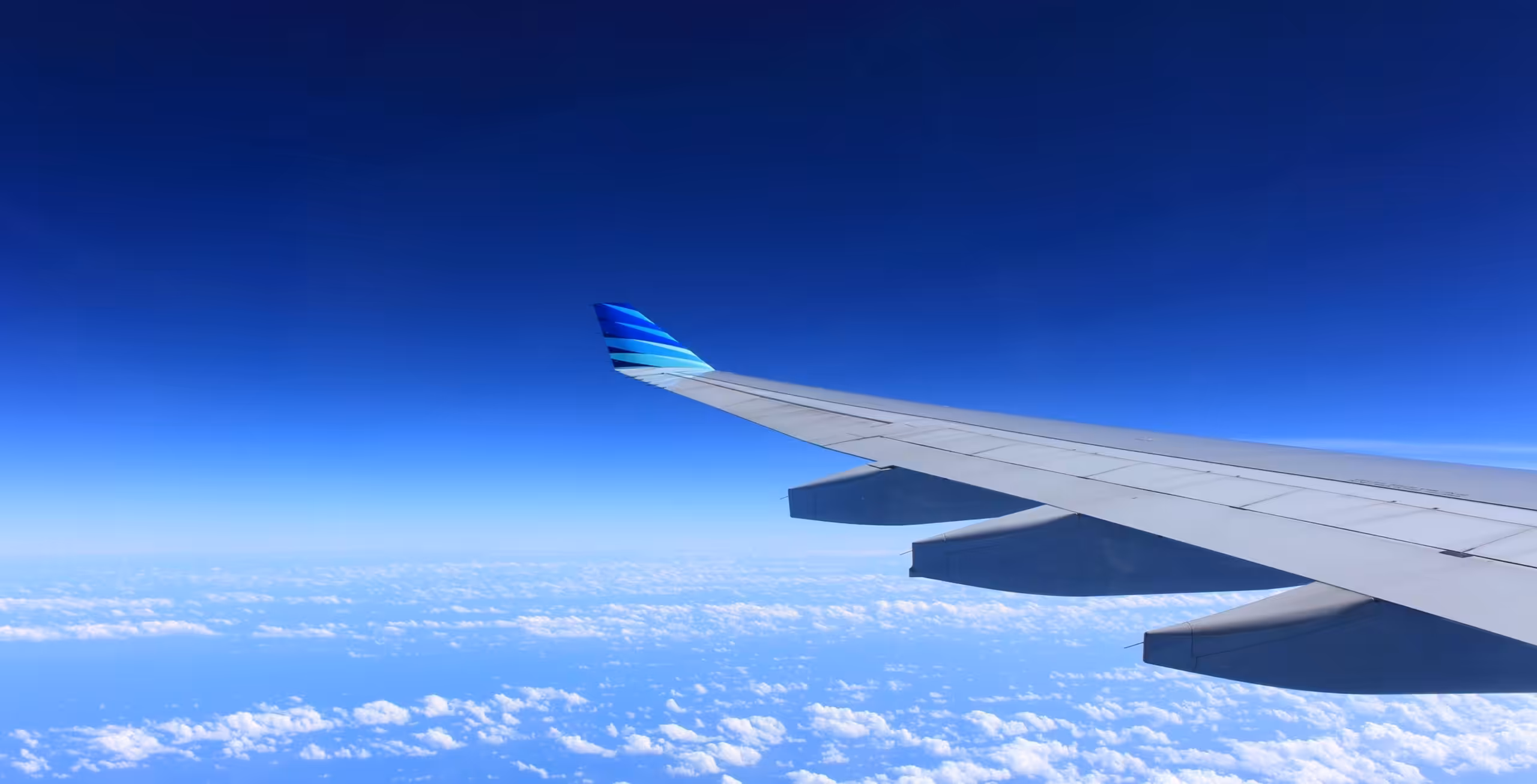 Kjør fra Nata til Kasane og fortsett til Zimbabwe for flyreisen hjem