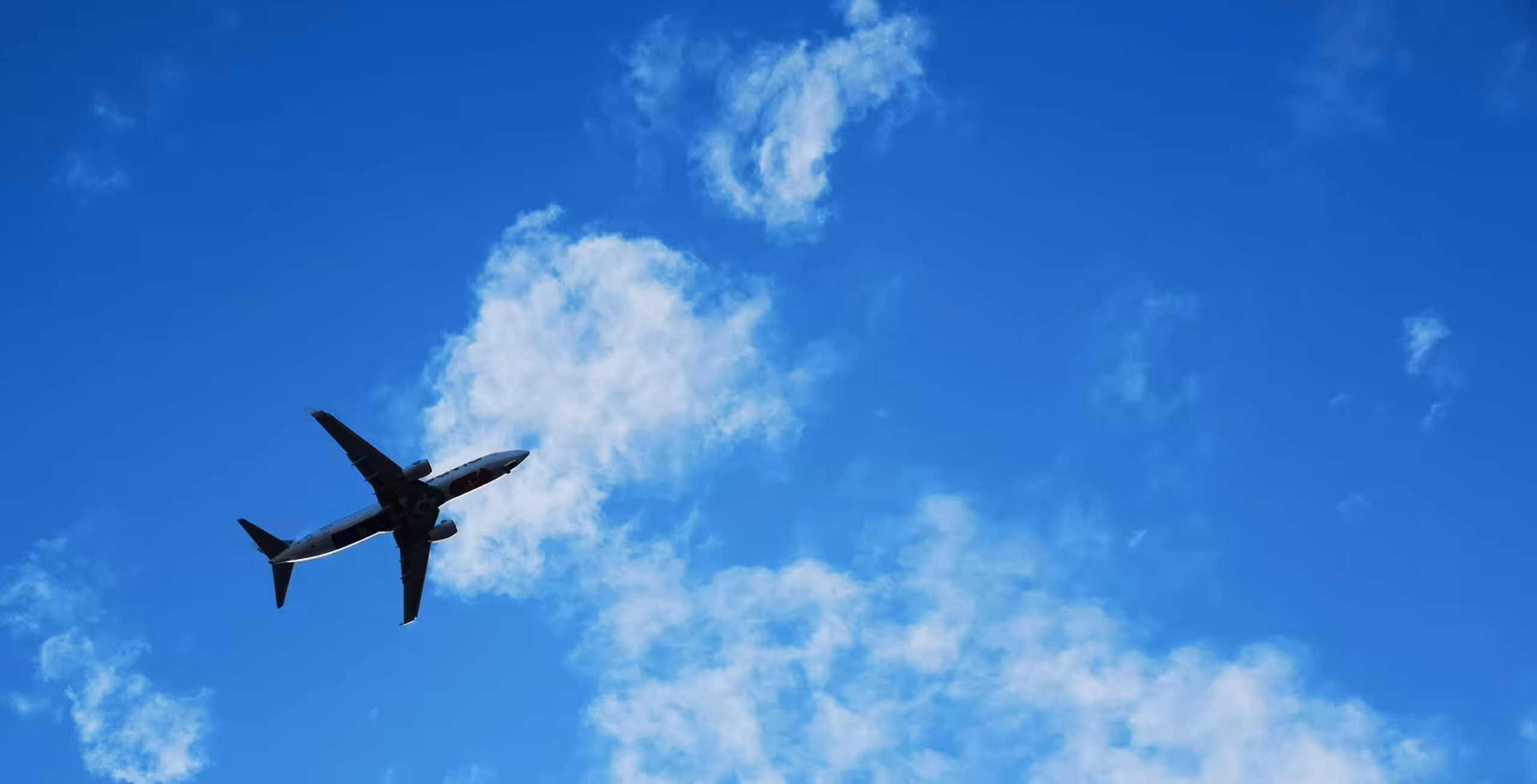 Fly til Diani Beach (inkludert i prisen)