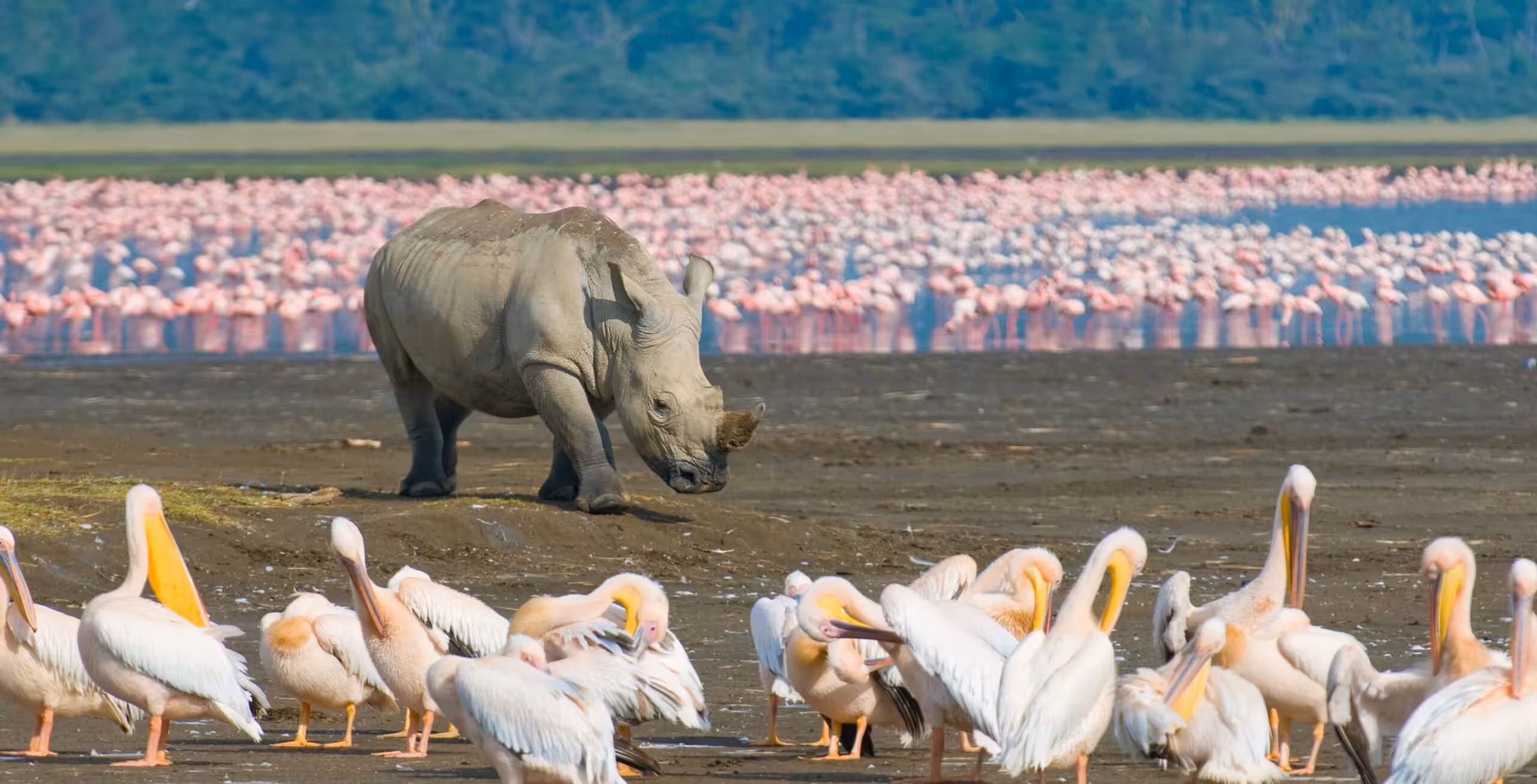 Lake Nakuru National Park