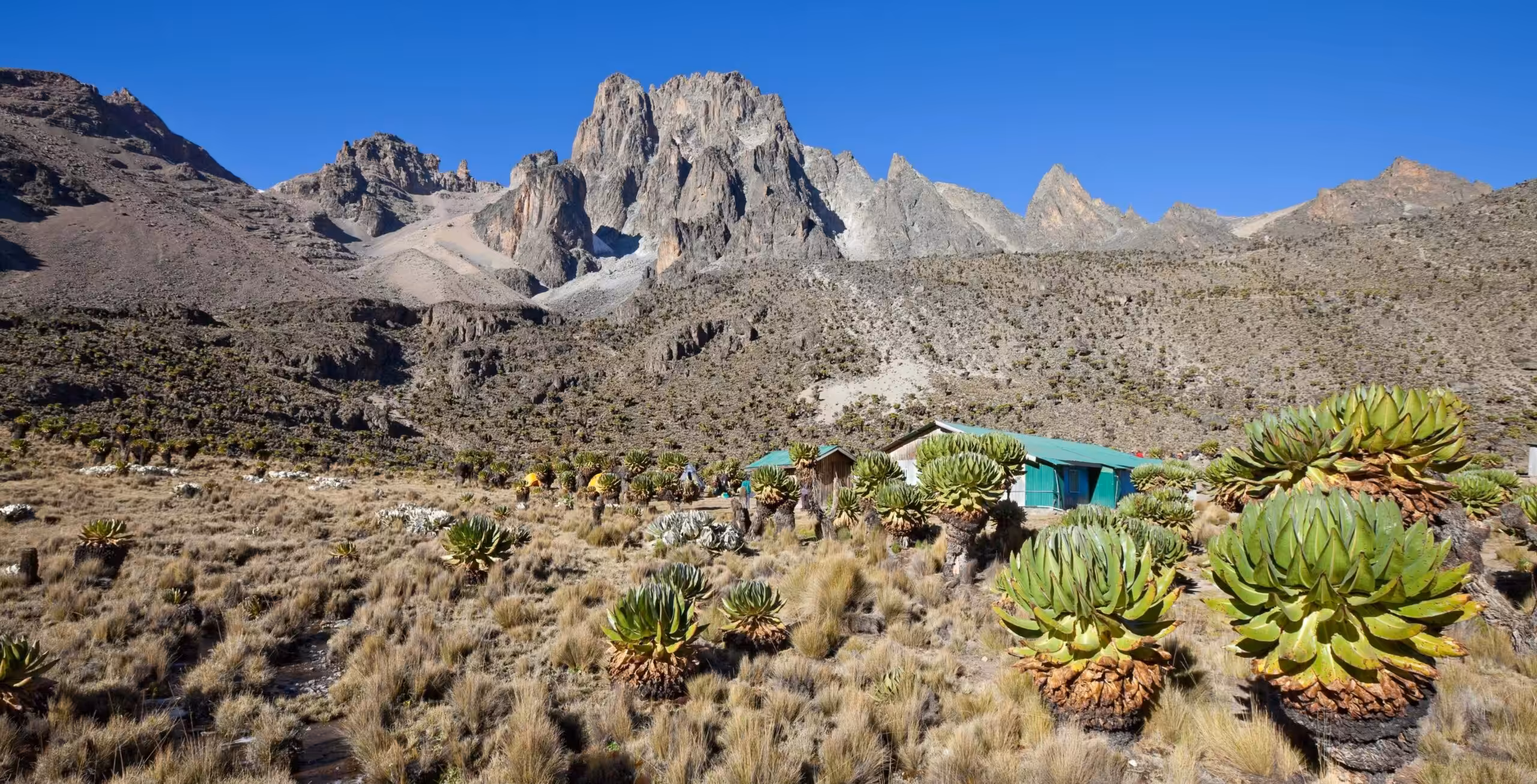 Mount Kenya via Sirimon Route (2/5) | Old Moses Camp (3340 m) – Shipton’s Camp (4200 m)