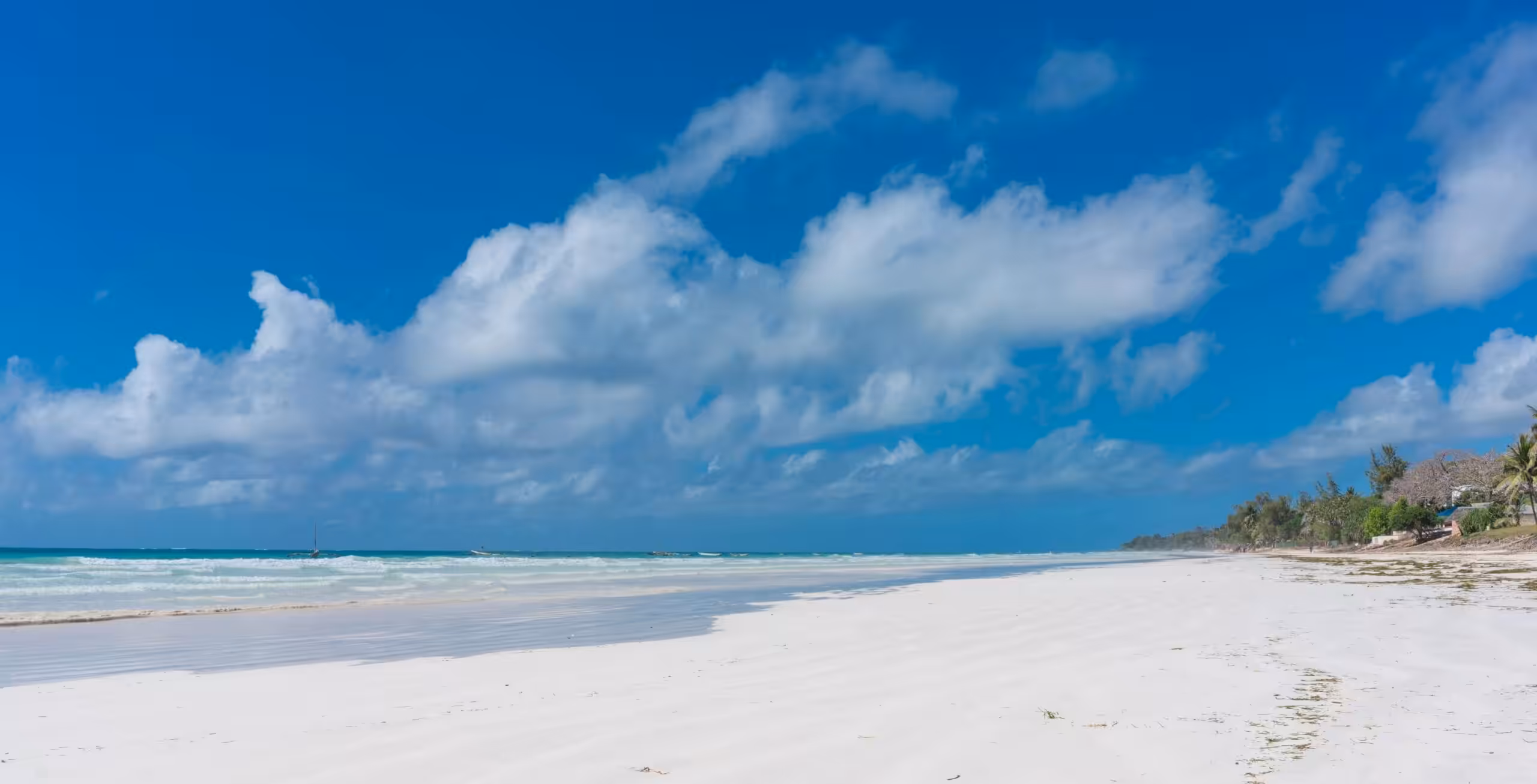 Kjør fra Tsavo East National Park til Diani Beach