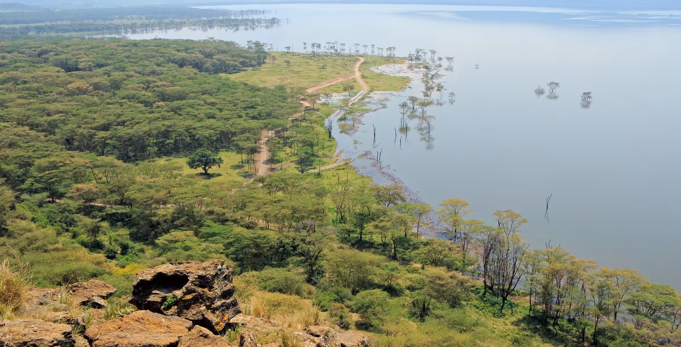 Kjør fra Solio til Lake Nakuru nasjonalpark
