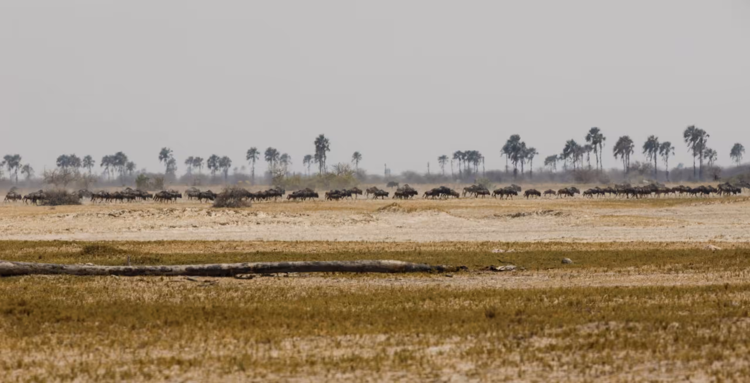Saltslettene i Makgadikgadi
