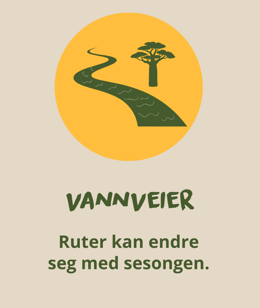 Vannveier i Botswana kan føre til at safarirutene endrer seg med sesongen.