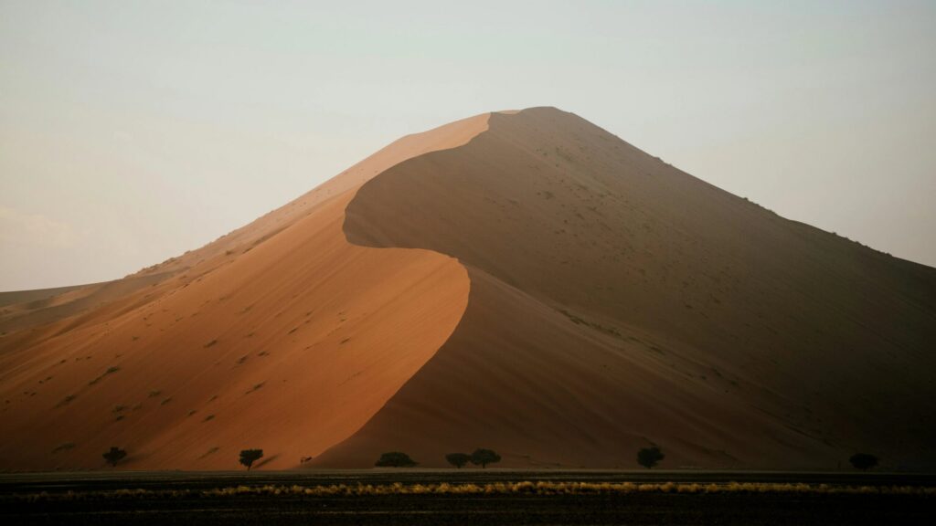 Kurvet sanddyne i Soussusvlei Namibia