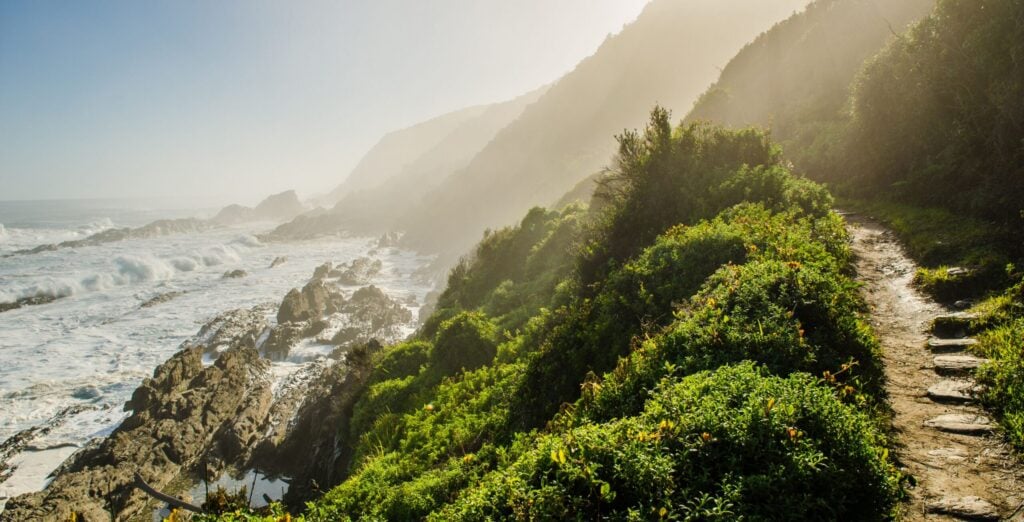 En vandresti langs kysten med utsikt over den dramatiske kystlinjen langs Sør-Afrikas Garden Route.