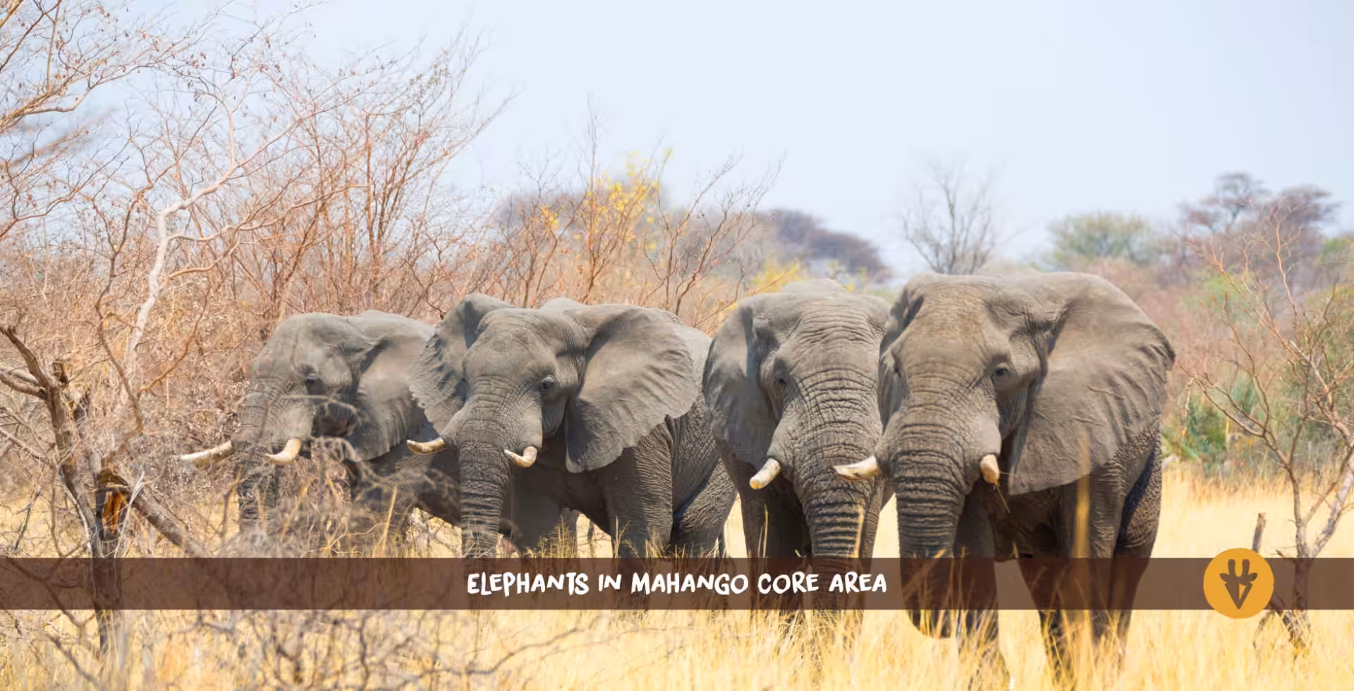Mahango Game Reserve (Bwabwata National Park)