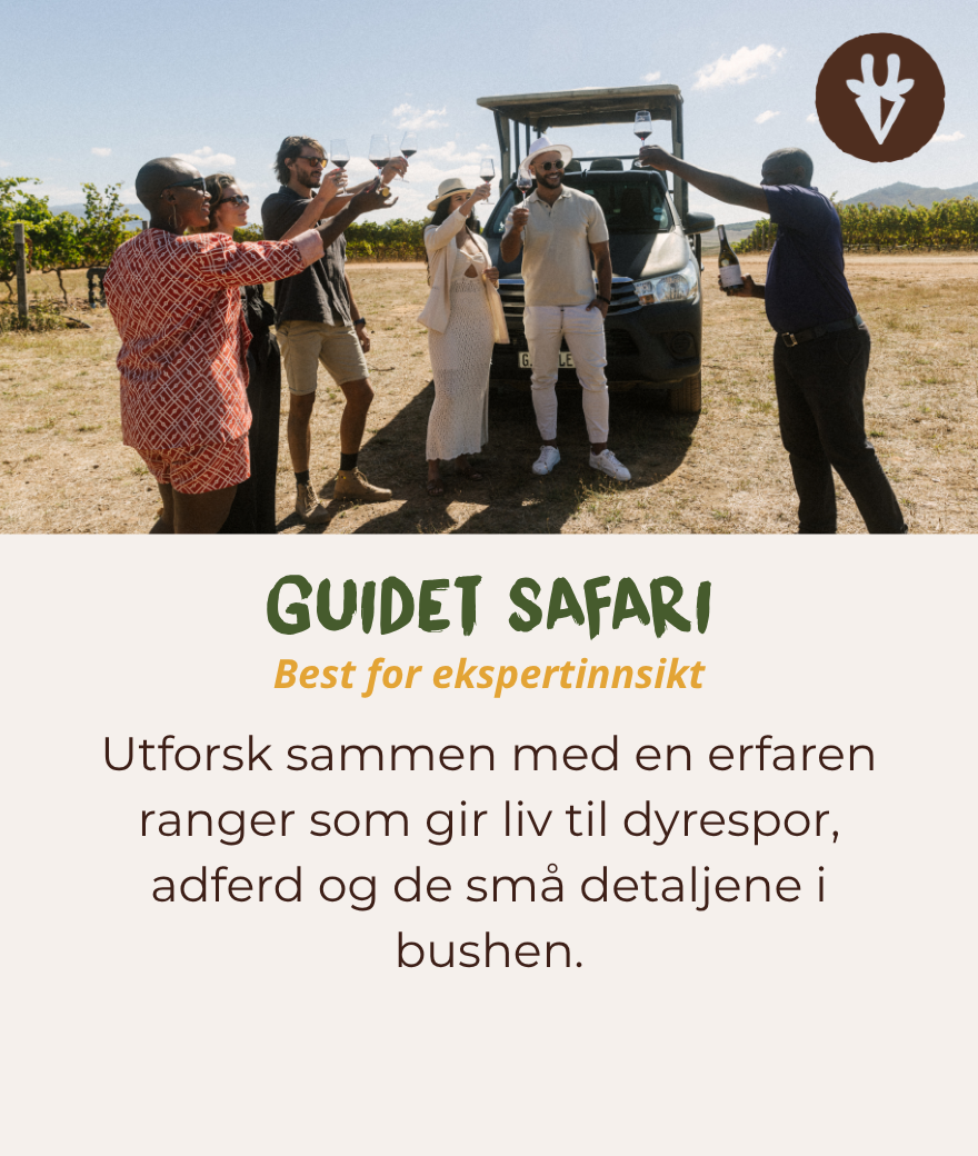 Guided safari with an expert ranger who helps travellers spot wildlife and animal tracks.