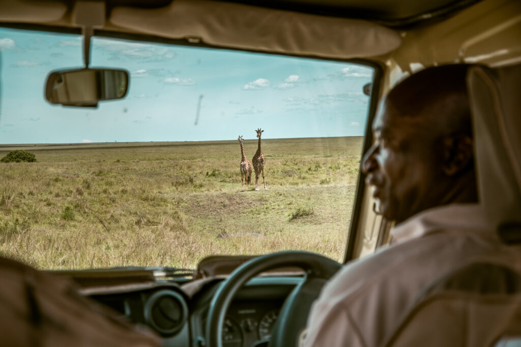 IM_KE_MAR_Guide in jeep and giraffes in the background
